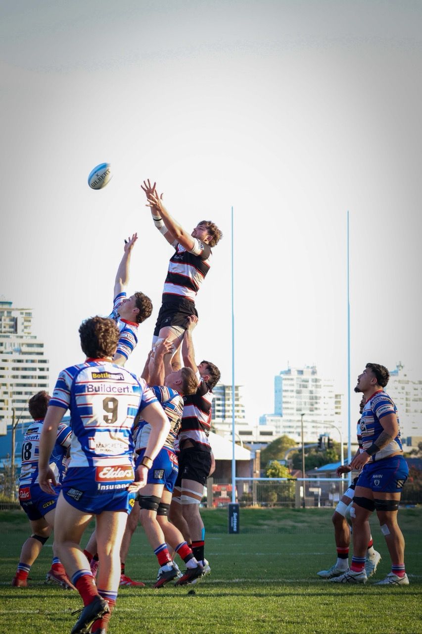 A lineout jumper reaches for the ball in golden light