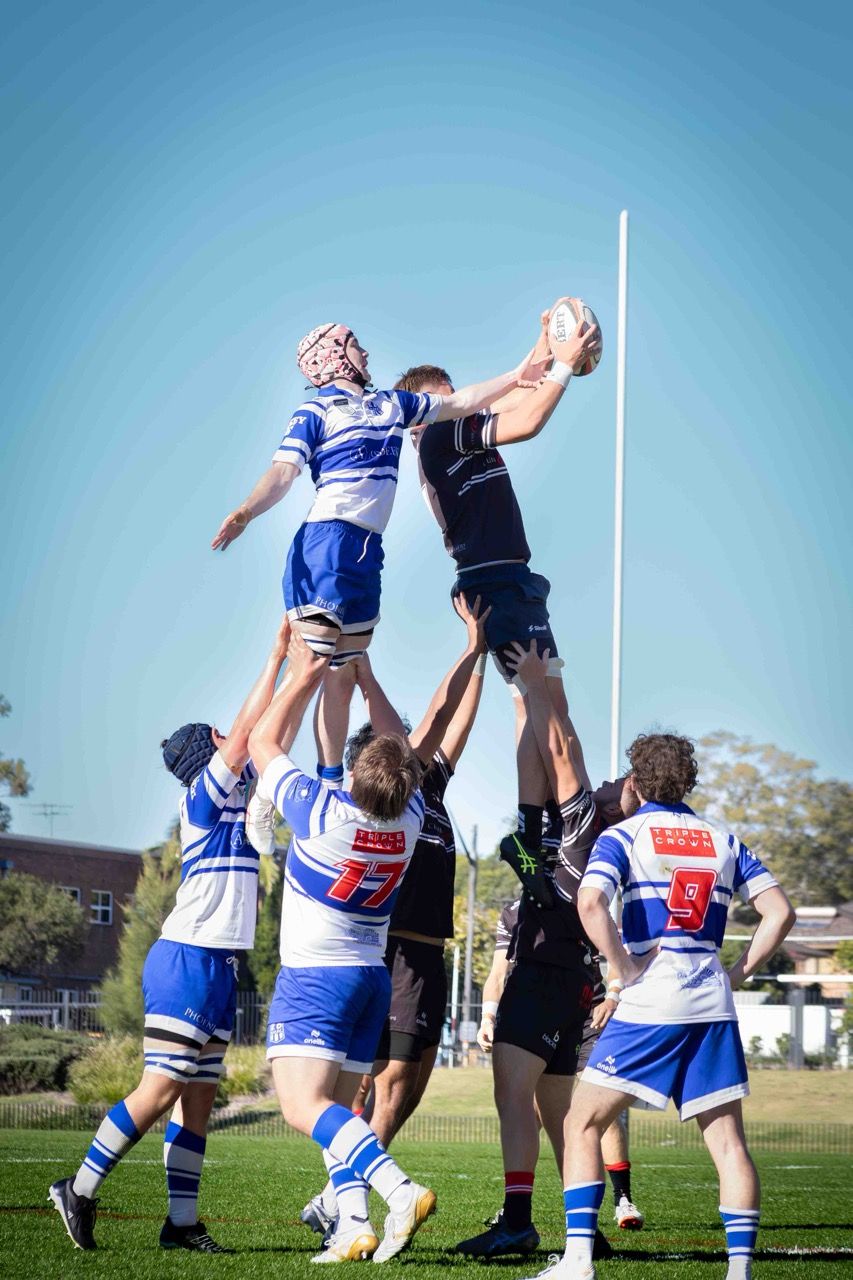 Two jumpers contest a lineout against a blue sky